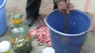 'Buying Snake Wine in China'