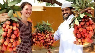 'Litchi Milkshake With Canadian | For Orphans | Nawabs Kitchen'
