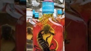 'Snake wine // China makes snake wine // ytshorts //milan kd //#shorts ,#snakewine'