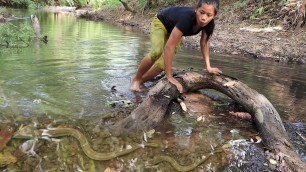 'Survival in the rainforest: Catching snake in river for food - Snake soup spicy for Eating delicious'