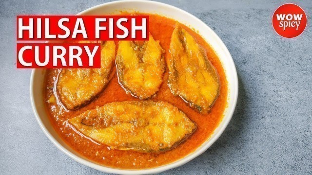 'Hilsa Fish Curry | Fish Curry Recipe | Easy Fish Curry Recipe | Ilish Fish Recipe | Wow Spicy'
