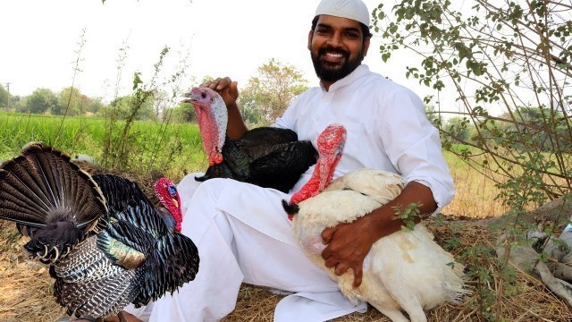 'TURKEY BIRYANI | Prepared for children | Nawabs Kitchen'