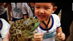 'THE BIGGEST FROG AND SNAKE MARKET IN CHINA 