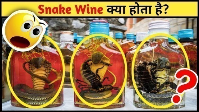 'Snake Wine क्या होती है? China Food And Drink Inside Fact #Shorts'