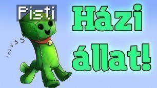 'KÉPESSÉGEK, TÁRGYAK, HÁZIÁLLAT | Minecraft Plugin Tutorial | Ultra Cosmetics'