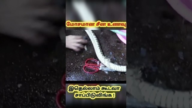 'சீனர்கள் உண்ணும் மோசமான உணவுகள் | Snake Soup | Unusual Food in China | Worst Food #shorts'