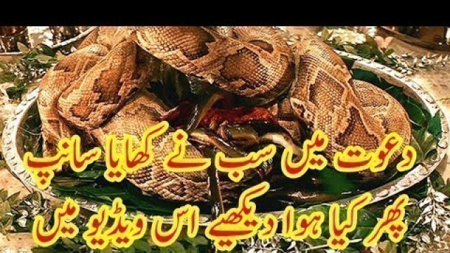 'EATING SNAKE IN CHINA | XINTIANDI SHANGHAI | CORONAVIRUS FOOD SAFETY'