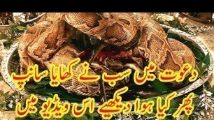 'EATING SNAKE IN CHINA | XINTIANDI SHANGHAI | CORONAVIRUS FOOD SAFETY'