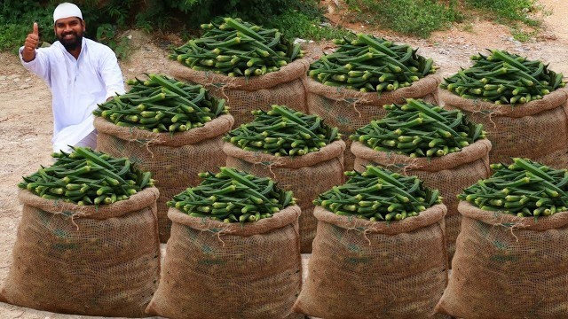 'Ever Green Lady Finger Masala Recipe | Bhindi Masala Curry | Nawabs kitchen'