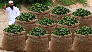 'Ever Green Lady Finger Masala Recipe | Bhindi Masala Curry | Nawabs kitchen'