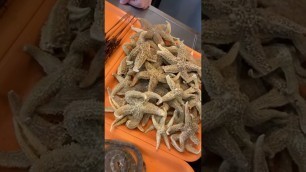 'China food #shorts #snake #skorpion  