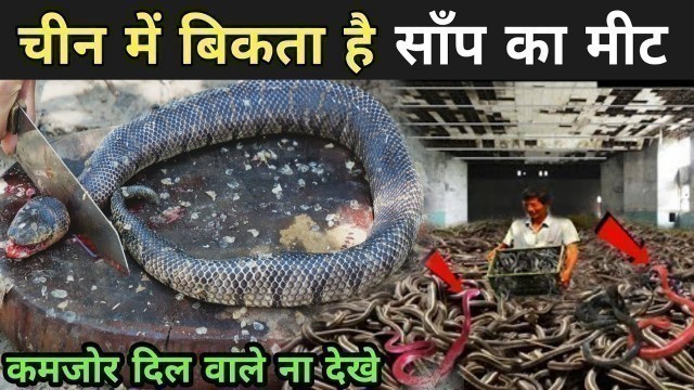 'यहाँ बिकता है साँप का मास | China Snake Eating Videos | Gaint Snake Shoup'