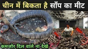 'यहाँ बिकता है साँप का मास | China Snake Eating Videos | Gaint Snake Shoup'