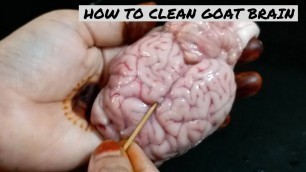 'How To Clean Goat Brain | Brain Cleaning| How To Remove Veins & Clean Brain Easily By Ayesha\'s World'
