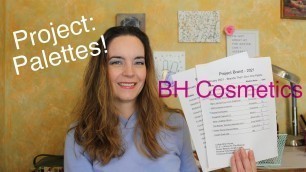 'Project Palette: February! BH Cosmetics! | Amanda Alexander'