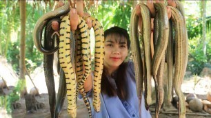 'Yummy cooking snake soup recipe - Cooking skill'