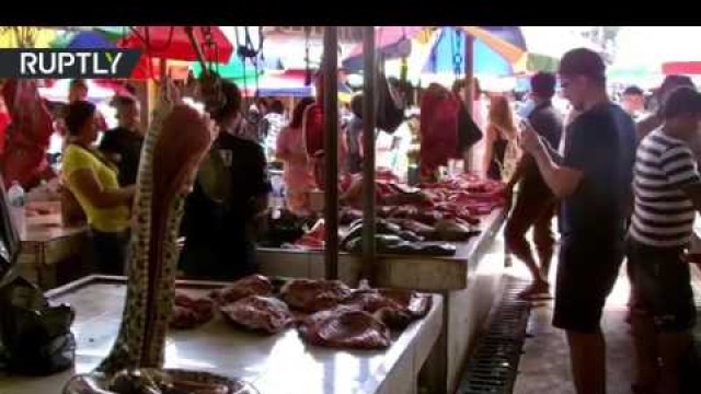 'Meat market in China, Dog snake bat meat'