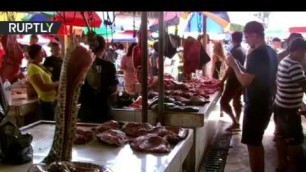 'Meat market in China, Dog snake bat meat'