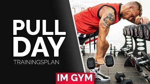 'RÜCKEN / BIZEPS Trainingsplan für Fitnessstudio (Muskelaufbau)'