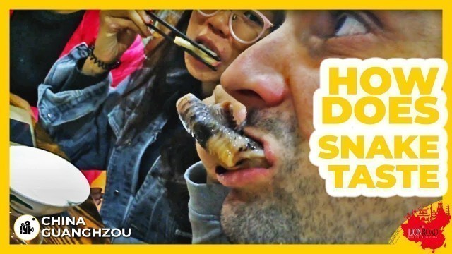 'Eat SNAKE for the First Time in CHINA | Snake Food'