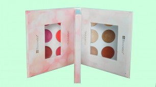 'Shaaanxo Palette Review & Demo'