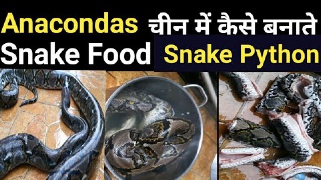 'Snake food in China | चीन में सांप का खाना कैसे बनाते है देखो | Anaconda || Python snake | China'