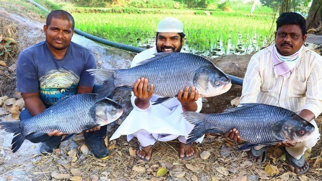 'Big Fish Curry Recipe || Yummy Punjabi Fish Masala Recipe || Nawabs Kitchen'