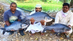 'Big Fish Curry Recipe || Yummy Punjabi Fish Masala Recipe || Nawabs Kitchen'