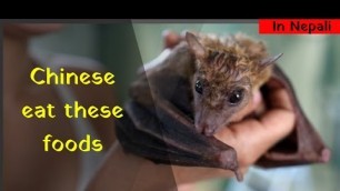 'Extreme level foods that chinese eat | Crocodile | Snake |Shark fin'