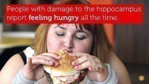 'Five Ways Junk Food Changes the Brain | RMIT University'
