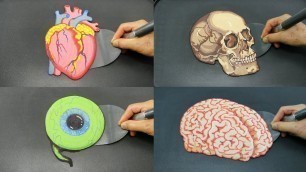 'LEARN BODY PARTS WITH PANCAKES!! Heart Skull Eye and Brain AMAZING FOOD'