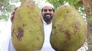 'Jack fruit biryani Recipe | By Nawabs Kitchen'