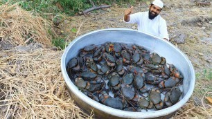 'King Size Crab Curry | Crab Masala Recipe | Crabs Gravy Recipe Nawabs Kitchen'