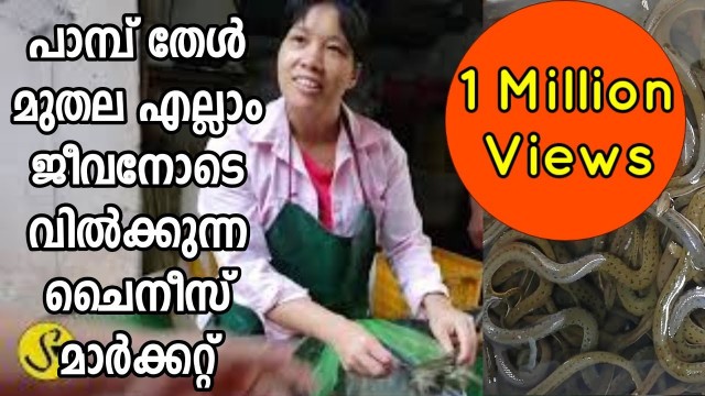 'പാമ്പ് തേൾ മുതല ജീവനോടെ വിൽക്കുന്ന മാർക്കറ്റ് | China Street Market | Live Snake Market China'