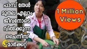 'പാമ്പ് തേൾ മുതല ജീവനോടെ വിൽക്കുന്ന മാർക്കറ്റ് | China Street Market | Live Snake Market China'