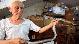 'Hong Kong\'s BEST Street Food Guide!! SNAKE SOUP + 100 Year Old Street Food in HONG KONG (POISONOUS!)'
