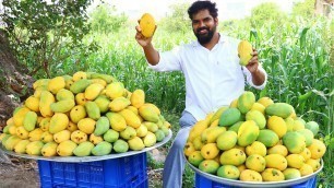 'Mango Ice Cream Recipe | Easy Home Made Ice Cream |CHICKEN Biryani | Ice Cream Chicken Biryani |'