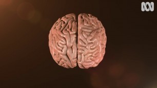 'How Junk Food Affects Your Brain'