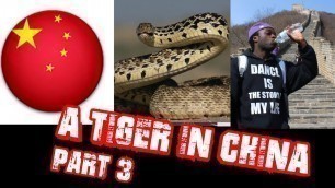 'Eating Snake And Things In China | Vlog  | A Tiger In China | Part 3'