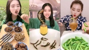 'chinese people eating snakes !! Live #Shorts #weird #snake#insects#china#shorts#covid#'
