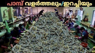 'Snake Farming Malayalam/Snake meat/Top 5 malayalam/Snake Farming video/Food factory.'