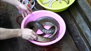 'Chinese Snake soup - GUANGDONG CHINA'