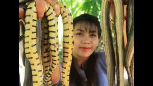 'snake soup ah