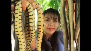 'snake soup ah