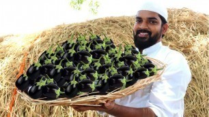 'Brinjal Biryani for Orphans |Delicious Brinjal Biryani|Nawabs kitchen'
