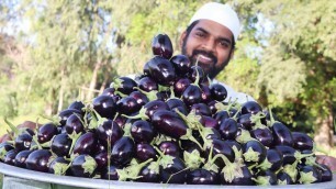 'Brinjal Masala Recipe || Eggplant curry for 200Orphan kids || Nawabs kitchen'