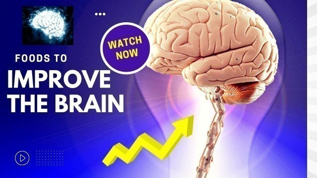 '7 BRAIN FOOD TO HELP WITH BRAIN DEVELOPMENT AND BETTER LEARNING'