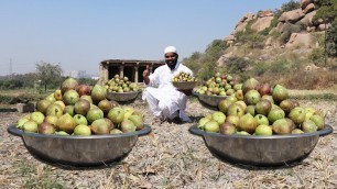 'Fig Fruit Sweet for 1000 people  || Anjir Meetha recipe || Nawabs kitchen'