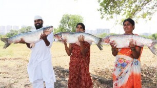 'Giant 30 kg Fish Recipe || Big Fish Curry For Kids || Nawabs kitchen'