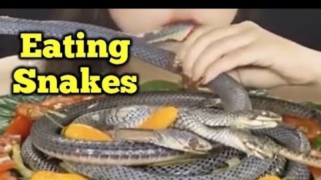 'A Chinese Girl eating Snake - how to cook Snakes-what Country people eat Snacks'